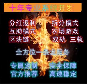 河南开发多轨公排APP及模式介绍