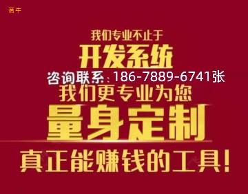 广州双轨直销模式开发及APP定制