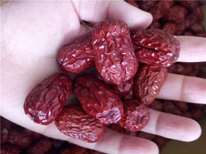 新疆红枣厂家直供批发价格