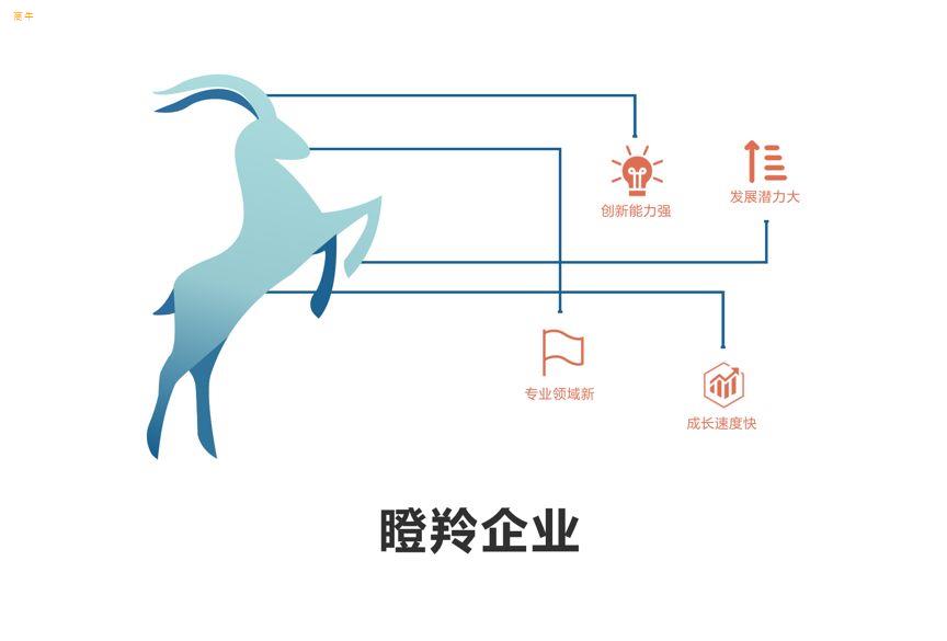 瞪羚企业认定申报代理瞪羚企业申报须知