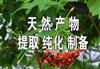 化合物主成分分离纯化制备化学药成分分离制备