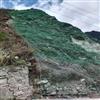 湖北黄石矿山绿化护坡网防滑坡落石网主动边坡柔性防护网